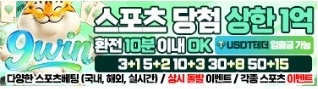 기본 배너 29